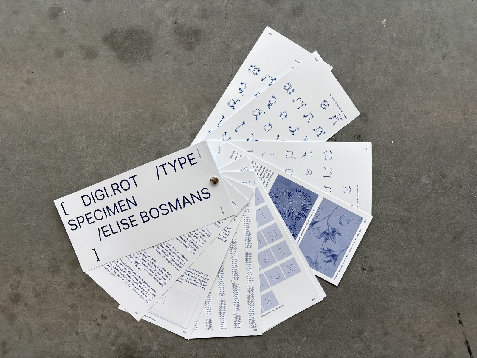 Digi.rot type specimen